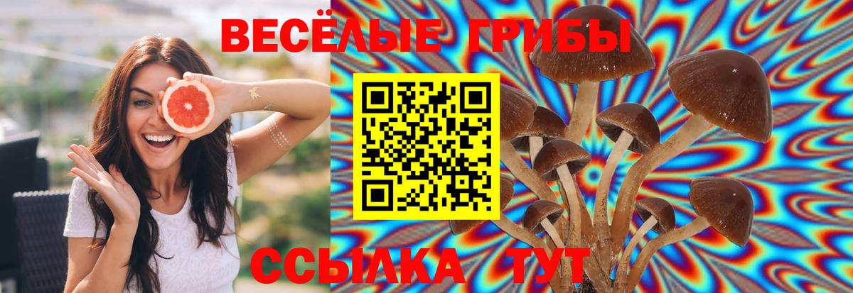 Псилоцибиновые грибы GOLDEN TEACHER  Галлюциногенные грибы мухоморы  Вичуга  Вход с VPN 